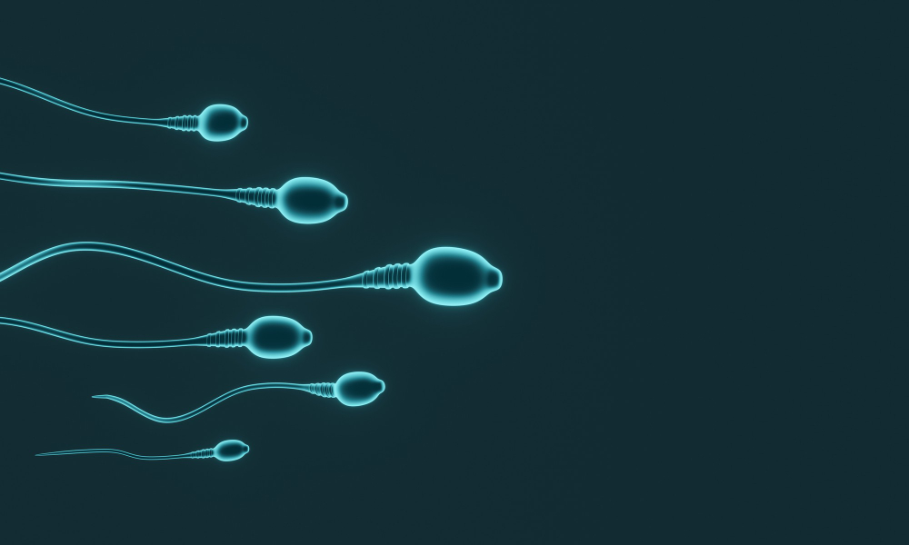 דיקור סיני זרע