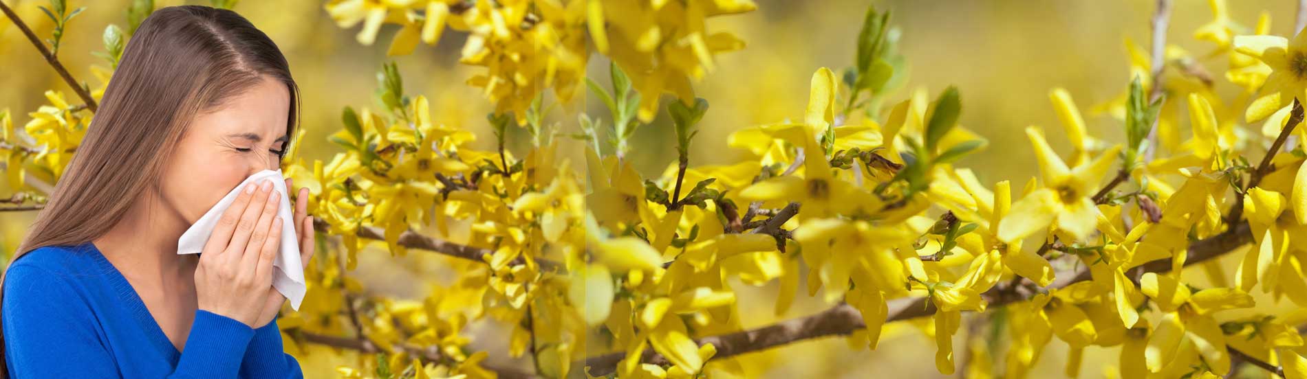 טיפול באלרגיה