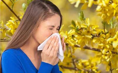 טיפול באלרגיה